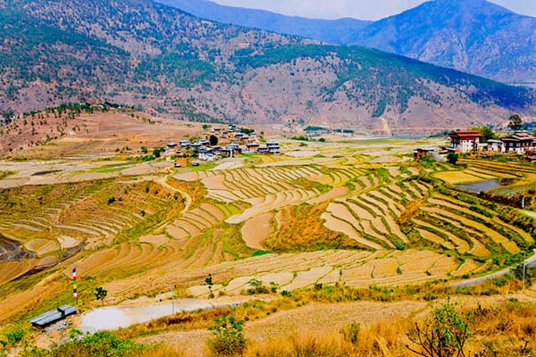 way-to-Khamsum-Yulley Namgyal-Chorten